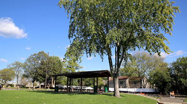 A picnic shelter at the park