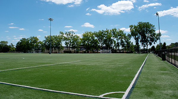 A field at Celtic park