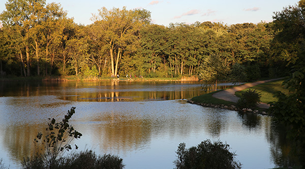 The lake at Cottonwood Park in afternoon golden light