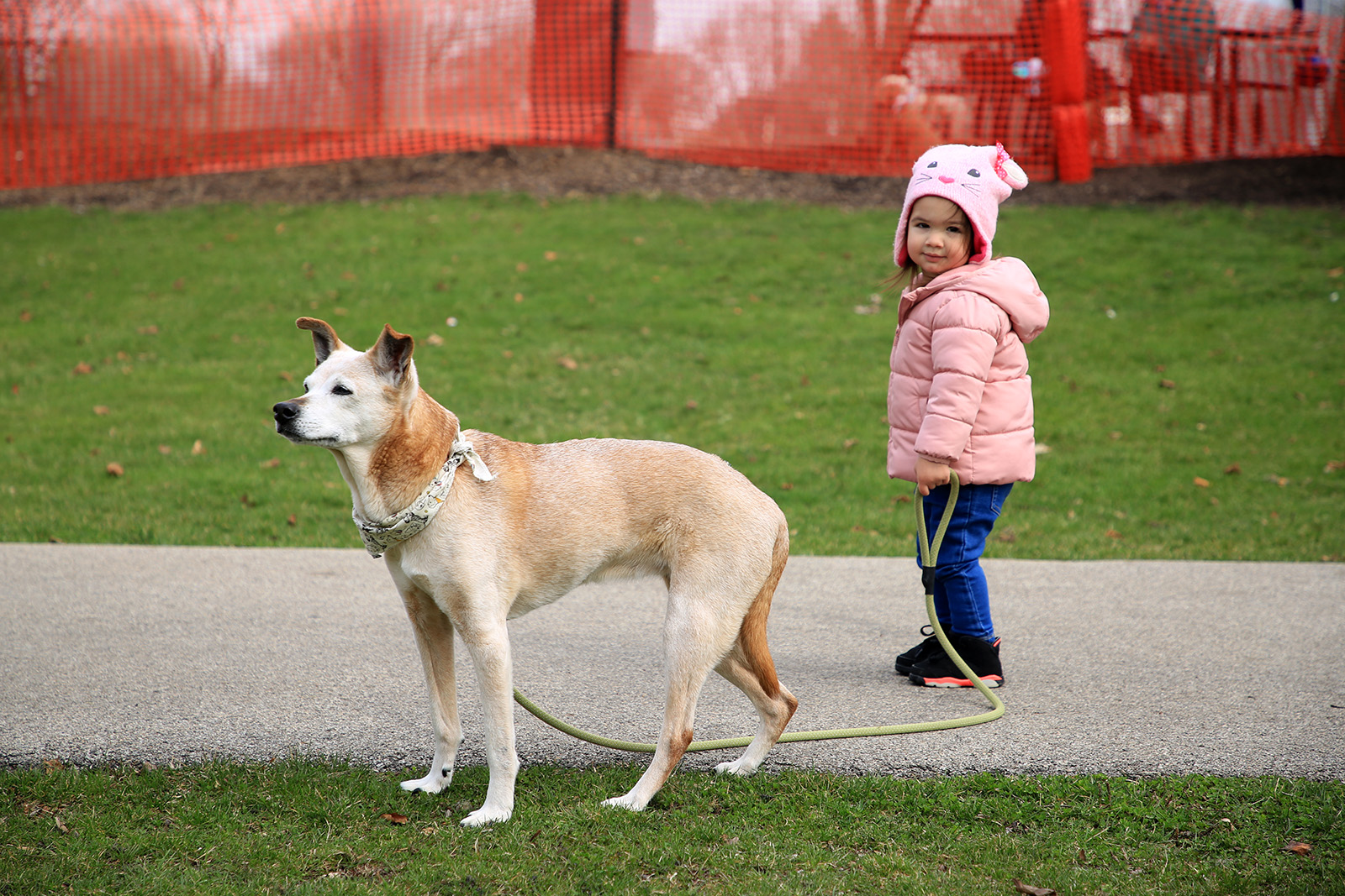 Young girl walking her older dog at a dog park