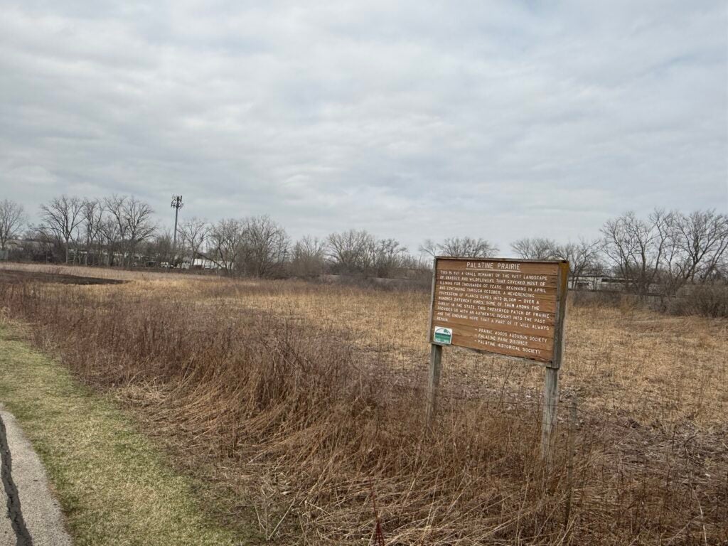 Photo of Palatine Prairie, including a welcome sign that describes the area.