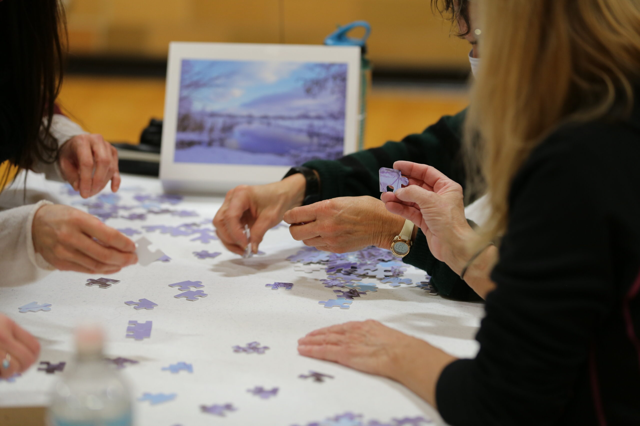Family Events Archives Palatine Park District