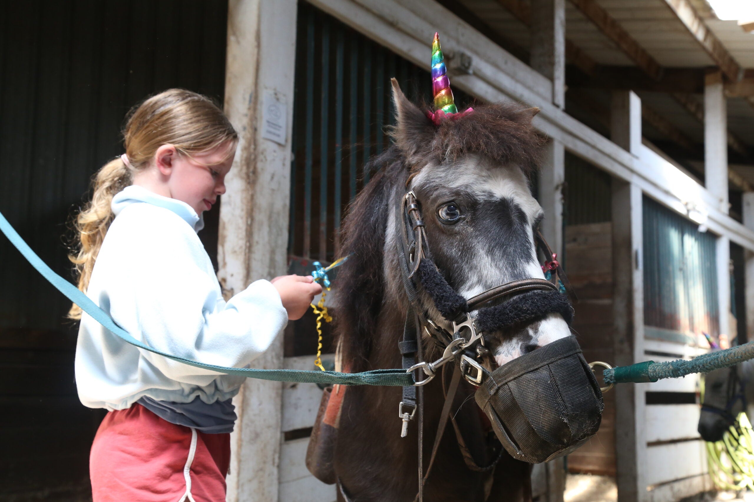 Birthday Parties - Palatine Park District