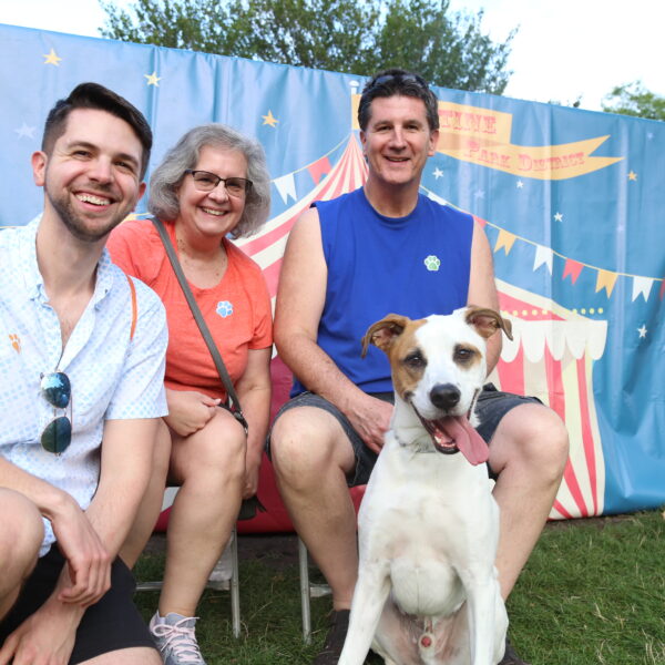 Canine Carnival family