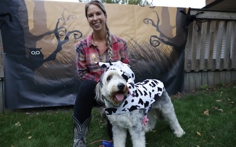 dog in a cow costume