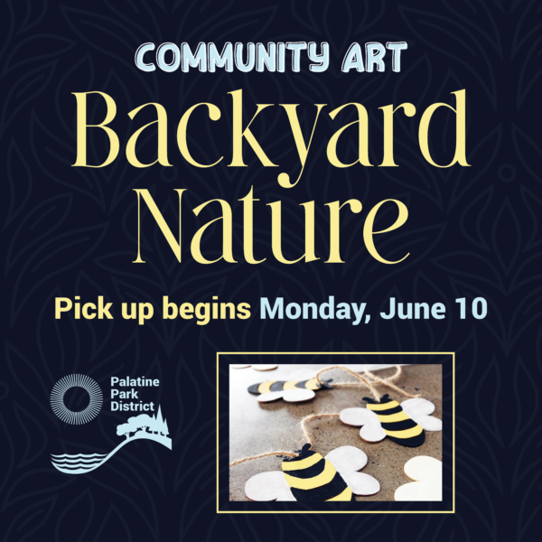 Home Palatine Park District