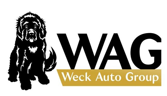 WAG YELLOW